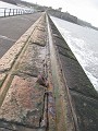 2011 UK England Newcastle  0220